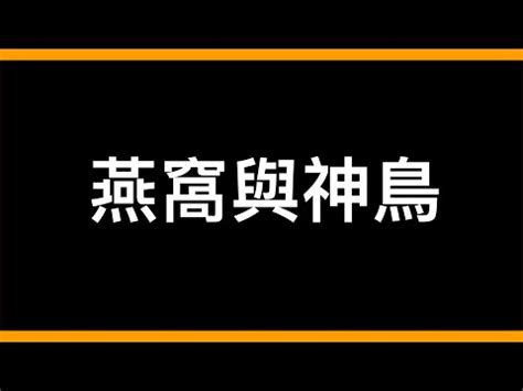 撿到燕子代表什麼|帶著福氣的鳥兒：燕子